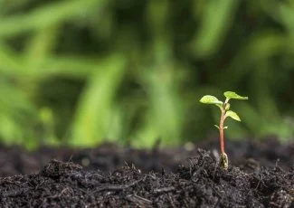 Agronutrition obtient sa première AMM sur le marché français des biofertilisants
