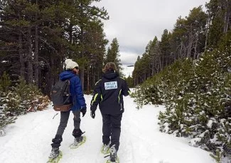 Ariège. Les stations investissent et skient groupées