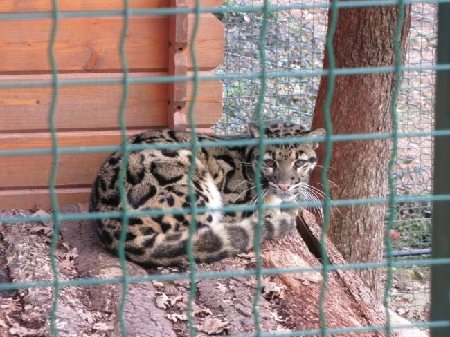 Actus Occitanie - %##23@