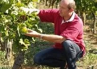 Le Mas Pignou booste la vente au domaine