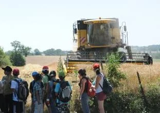 Idée reçue n°3 : l'agriculteur n'a pas fait d'études