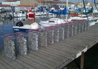 Montpellier. Ecocéan préserve et répare les écosystèmes marins