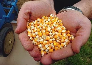 Sur l'agenda : Une journée pour favoriser la recherche dans l'agroalimentaire