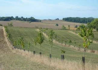 Dossier Solutions climat. Le stockage du carbone, un concept qui attire des fonds
