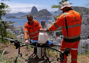 Spécialisée dans la reforestation des zones tropicales, Morfo s'implante à Montpellier