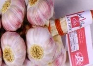 Alinéa : La coopérative de l'ail rose de Lautrec s'agrandit