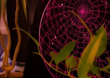 La jeune pousse toulousaine Hudolus illumine votre Saint-Valentin