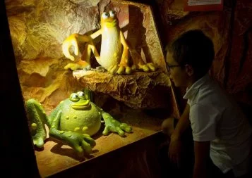 Exposition : Mission Muséum