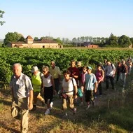 Actus Occitanie - %##23@