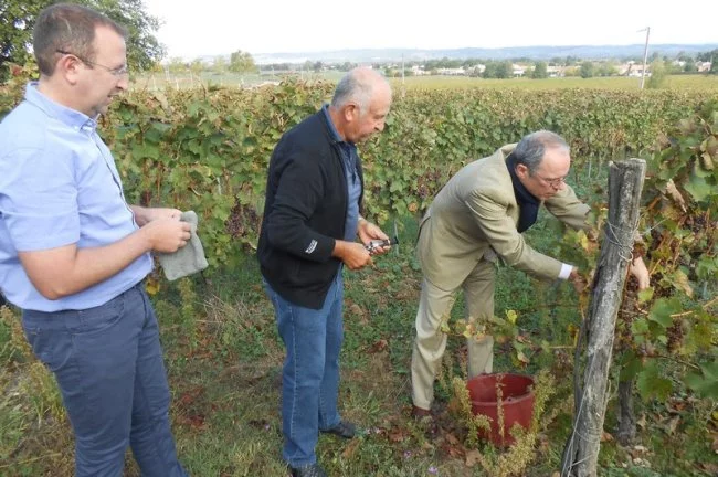 Actus Occitanie - %##23@