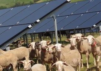 Le premier parc solaire midi-pyrénéen 100% citoyen est sur les rails