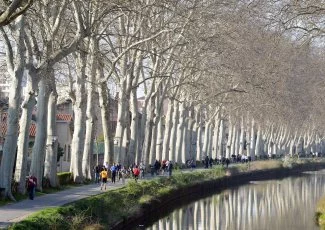Santé. Des résultats inquiétants sur les polluants éternels dans l'eau en Occitanie