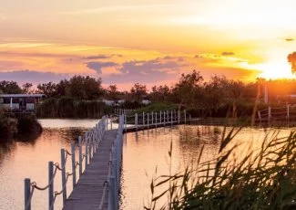 Mas de la Fouque : Week-end gipsy en Camargue 