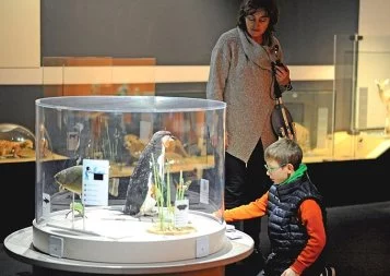 Les Bébés animaux en vedette au Muséum de Toulouse