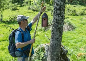 A écouter : Les mésanges, sentinelles du changement climatique
