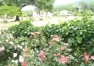Rendez-vous aux Jardins des Bastides