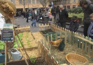 Coup d'envoi des 48 heures de l'agriculture urbaine à Albi, Toulouse et Montpellier