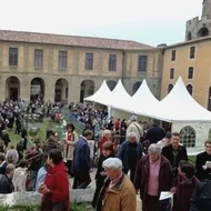 Actus Occitanie - %##23@