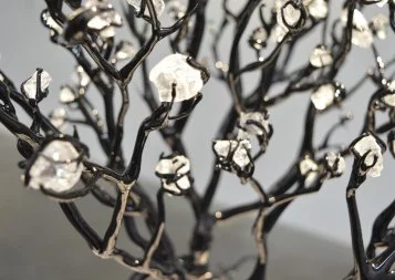 Expos : Nous sommes des terres fertiles