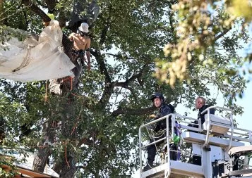 Toulouse - Castres. Le chantier de l'A69 toujours sous très haute tension