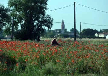 Jardins d'Occitanie cultive l'esprit fine fleur