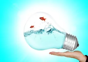 BGE Sud-Ouest vous donne les clés de votre avenir professionnel