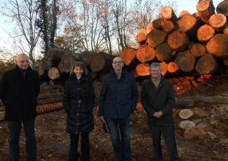 Verdalle. La scierie Vieu investit dans le gros bois