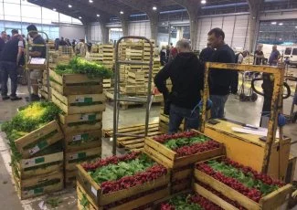 Toulouse. Les ambitions et la stratégie du nouveau patron du marché gare