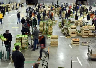 Malgré le Covid-19, le marché d'intérêt national de Toulouse tire son épingle du jeu