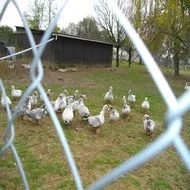 Actus Occitanie - %##23@