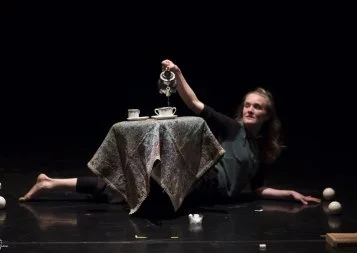 Festival l'Européenne de cirques