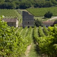 Actus Occitanie - %##23@