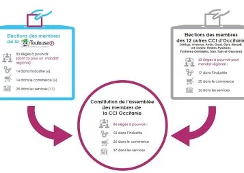 Les élections à la CCI de Toulouse 31 en cinq questions