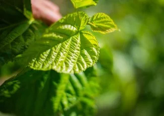 Le Gardois Sericyne déménage pour un nouvel atelier de production à soi(e)