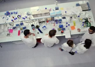 Montpellier. MedinCell veut lutter contre les moustiques porteurs du paludisme