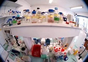 L'école Véto s'ouvre aux start-up biotechs