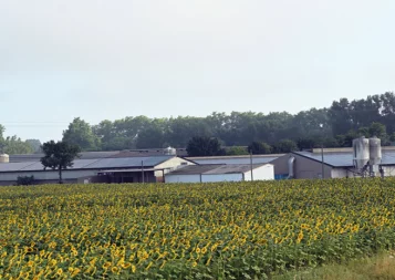 Le producteur d'œufs Gallès donne la chair de poule aux habitants de Lescout 1/2