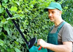 O2 recherche 15 micro-franchisés en jardinage en Midi-Pyrénées !