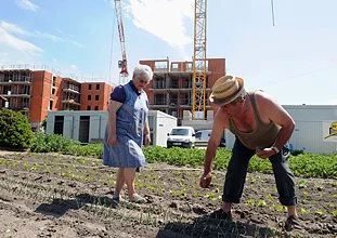 Le Monopoly des promoteurs sur les maisons toulousaines