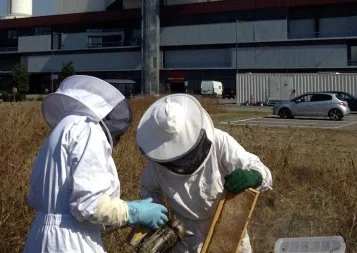 Veolia Propreté Midi-Pyrénées reçoit le label LUCIE