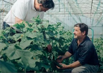  Fabien Cibello, Carrefour : « Nos clients occitans sont très attachés au terroir local »
