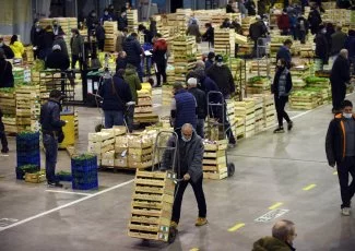 Grand Marché de Toulouse : la ville dans la ville