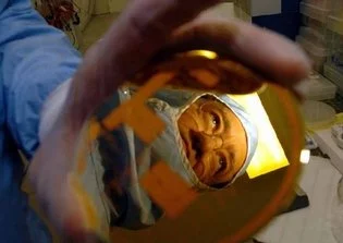 Toulouse : « nos chercheurs sont nos meilleurs ambassadeurs »