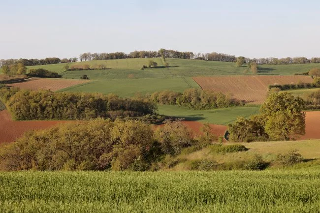 Actus Occitanie - %##23@