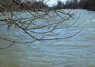 La qualité de l'eau : en deçà des objectifs européens