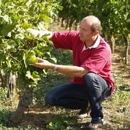 Actus Occitanie - %##23@