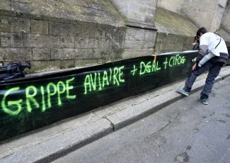 Grippe aviaire. L'abattage de 800.000 canards provoque la colère des éleveurs du Sud-Ouest