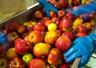 La lutte contre le gaspillage alimentaire s'organise en Occitanie