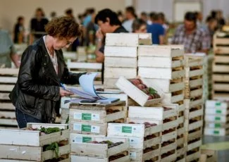 Et vous profitiez du SMAC pour découvrir le Grand Marché à Toulouse ?