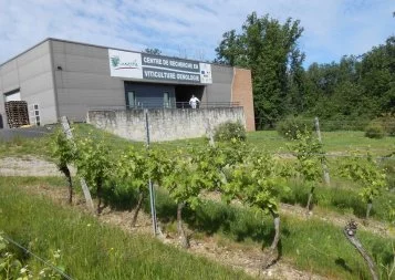 V'innopôle, le centre d'expérimentation de la vigne et du vin est dans le Tarn